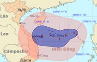 Áp thấp nhiệt đới đã thành bão Wutip