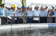 Thủ tướng kiểm tra khu công nghiệp Formosa (Hà Tĩnh): Không an toàn, không sản xuất