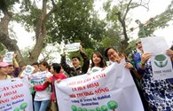 Người Hà Nội tuần hành vì cây xanh