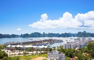 “Chúa đảo” Tuần Châu mời nhân dân vùng lụt đến ăn ở miễn phí tại khu du lịch Tuần Châu