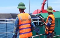 Phát hiện tàu hàng đổ chất thải nghi của Formosa xuống biển Quảng Bình