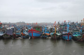 Hơn 400 tàu cá của ngư dân Quảng Ngãi chưa vào bờ tránh bão