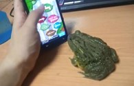 Con ếch dùng lưỡi chơi game điệu nghệ trên điện thoại gây sốt mạng