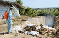 Hà Nội: Tiêu hủy gần 1 tấn gà thải loại từ Trung Quốc