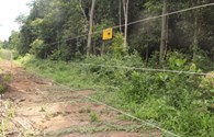 Hàng rào điện tử ngăn cách người - voi ở Đồng Nai: “Chống chỉ định” với trẻ em