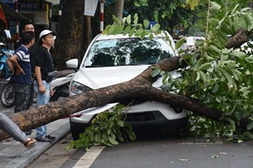 Chủ tịch UBND TP Hà Nội: Người dân hạn chế ra đường khi mưa bão