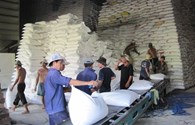 Mừng lo cho hạt gạo Việt Nam xuất khẩu