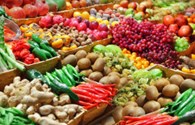 Doanh nghiệp xuất khẩu nông sản “chật vật” tìm đường xuất ngoại