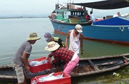Hỗ trợ học nghề, chuyển nghề cho ngư dân 4 tỉnh miền Trung sau sự cố Formosa