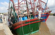 Hội Nghề cá Việt Nam: Hành động vô nhân đạo của tàu Trung Quốc đáng bị lên án