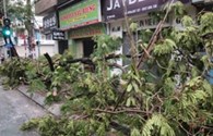 Phó Thủ tướng Hoàng Trung Hải: Phòng, chống tốt nên đã giảm thiểu sự thiệt hại của bão