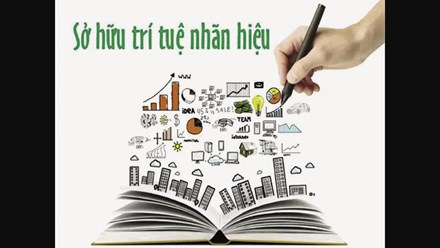 Xem nhẹ giá trị thương hiệu, doanh nghiệp Việt nhận “trái đắng”