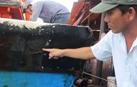 2 tàu Trung Quốc tạo gọng kìm, húc đuôi, phun vòi rồng tàu cá Việt Nam