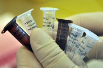 Virus cúm A/H7N9 ở gia cầm đã thích nghi với người