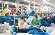 Việt Nam tham gia TPP: Lợi thế cho các DN xuất khẩu chủ lực