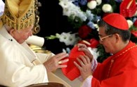 Hồng y Việt Nam đi Vatican bầu Giáo hoàng