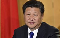 Chủ tịch Trung Quốc nói hợp tác với ông Trump là lựa chọn duy nhất