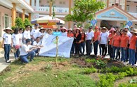 Khách sạn Novotel Nha Trang tham gia ngày hội Trồng cây