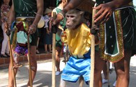 Lễ hội khỉ tưng bừng chào đón mùa du lịch Hè 2014