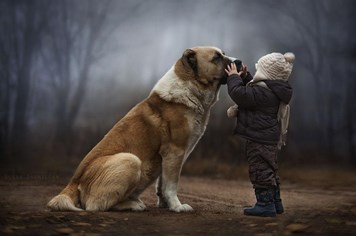 Mê mẩn trước hình ảnh siêu dễ thương của 2 cậu bé người Nga bên các loài động vật