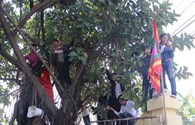  Người dân trèo tường, leo cây xem nghi lễ chém “ông ỉn” ở Ném Thượng, Bắc Ninh