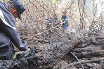 Cháy rụi gần 20 ha rừng nguyên sinh ở Quảng Nam