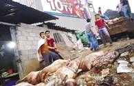 Hậu trường nghề báo: Phía sau “cuộc chiến” thịt lợn thối