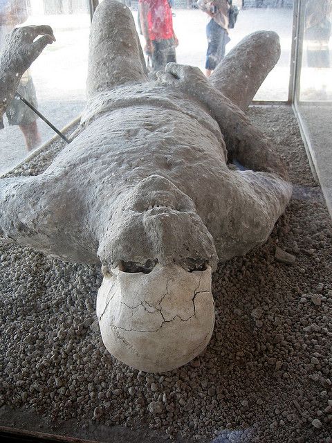 Theo phỏng đoán, ở thời điểm vụ phun trào diễn ra, Pompeii có khoảng 20.000 dân. Một phần trong số đó đã thoát khỏi thảm họa bằng nhiều cách khác nhau, nhưng rất nhiều người khác không được may mắn như vậy.