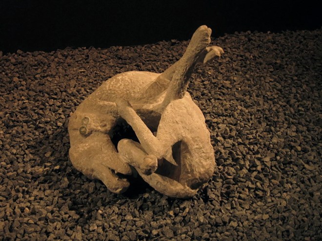 Loài vật cũng chịu chung số phận với con người. Các nhà khảo cổ cho rằng chú chó này đã bị xích bên ngoài nhà của Vesonius Primus - một thợ hồ vải ở Pompeii.