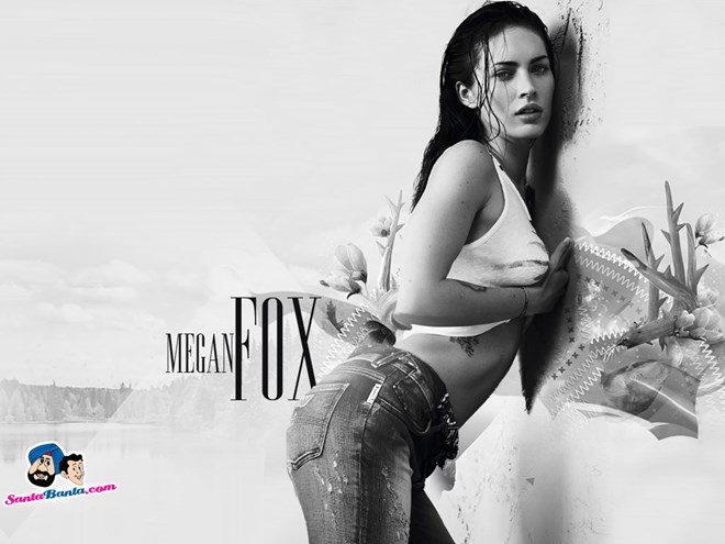 Megan Fox đã và đang tìm cách chạy thoát khỏi hình ảnh một “biểu tượng sex”, thông qua việc thử sức trong các phim hài nhẹ nhàng gần đây như Friends with Kids hay This Is 40.