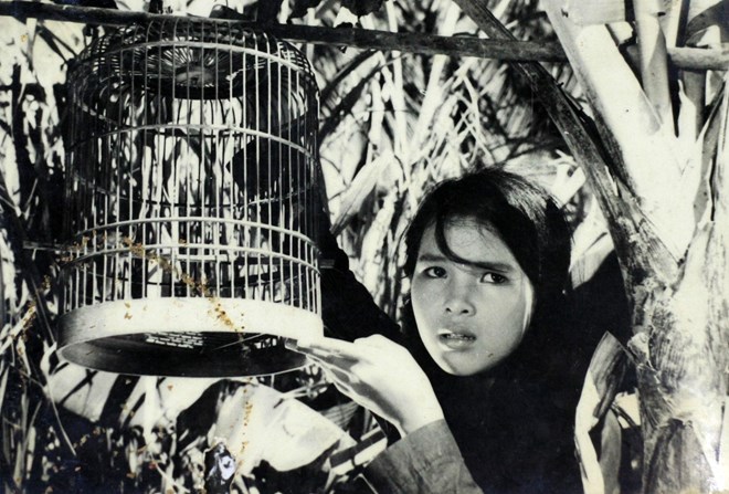 Năm 1961, khi cô bé 13 tuổi Tố Uyên đang sinh hoạt tại CLB thành phố, đạo diễn Nguyễn Văn Thông đã tới CLB để tìm nhân vật cho bộ phim tốt nghiệp có tên Con chim vành khuyên và Tố Uyên đã lọt mắt xanh của vị đạo diễn trẻ.