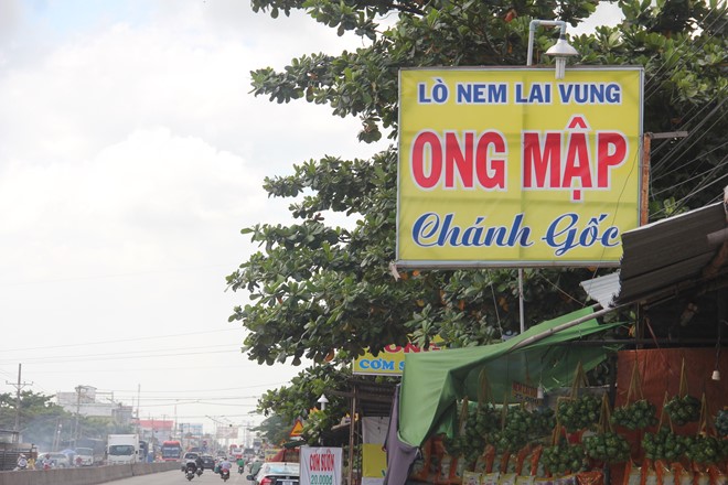 Có 2 Ong Mập - Chánh gốc.