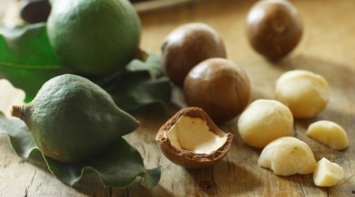 Mắc ca: Cây mắc ca có tên gọi là Macadamia, sở hữu loại hạt ngon và đắt đỏ trên thế giới. Hiện 1kg trái mắc ca tươi có giá 220k/kg, trái tươi 300.000 - 400.000 đồng/kg, riêng loại nhân được bóc tách sẵn giá 900.000 đến 1 triệu đồng/kg. Mắc ca à thứ hạt xa xỉ ở Việt Nam hiện nay. Theo nghiên cứu của các chuyên gia, nhân của hạt mắc ca có hàm lượng dầu tới 78%, cao hơn hẳn lạc (44,8%), nhân điều (47%)…và nó được mệnh danh là “hoàng hậu trong các loại hạt.