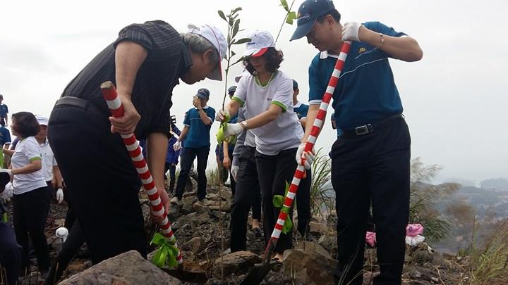 Đại diện Viettravel, Vietnam Airlines và TKV trồng keo tại bãi thải Chính Bắc Núi Béo