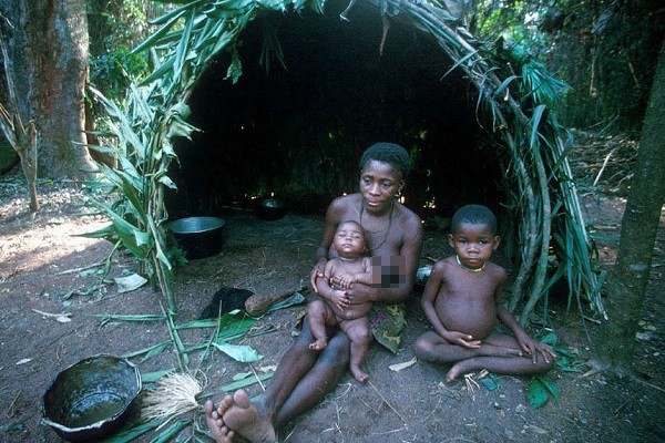Người Pygmy sống bằng săn bắn hái lượm và phụ thuộc hoàn toàn vào rừng.