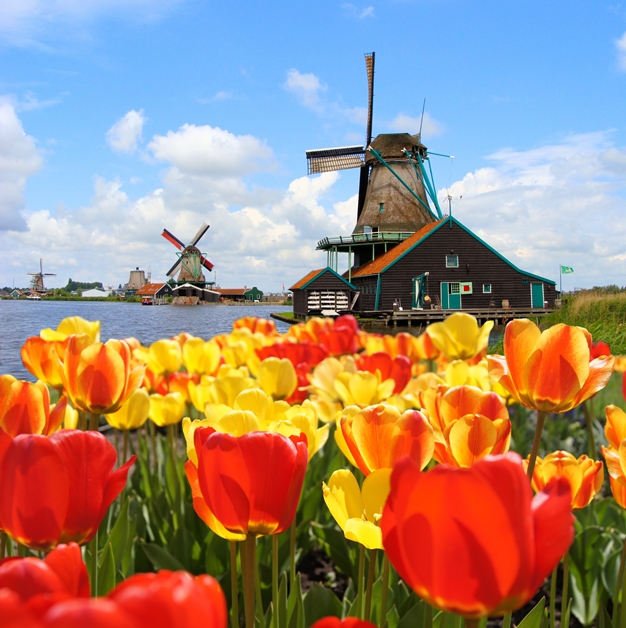 Khu vườn Keukenhof thuộc thị trấn Lisse, phía nam Amsterdam, Hà Lan là vườn hoa lớn nhất thế giới hiện nay với hơn 7 triệu loài hoa (đặc biệt là hoa tulip) trên một diện tích rộng 32 hecta.