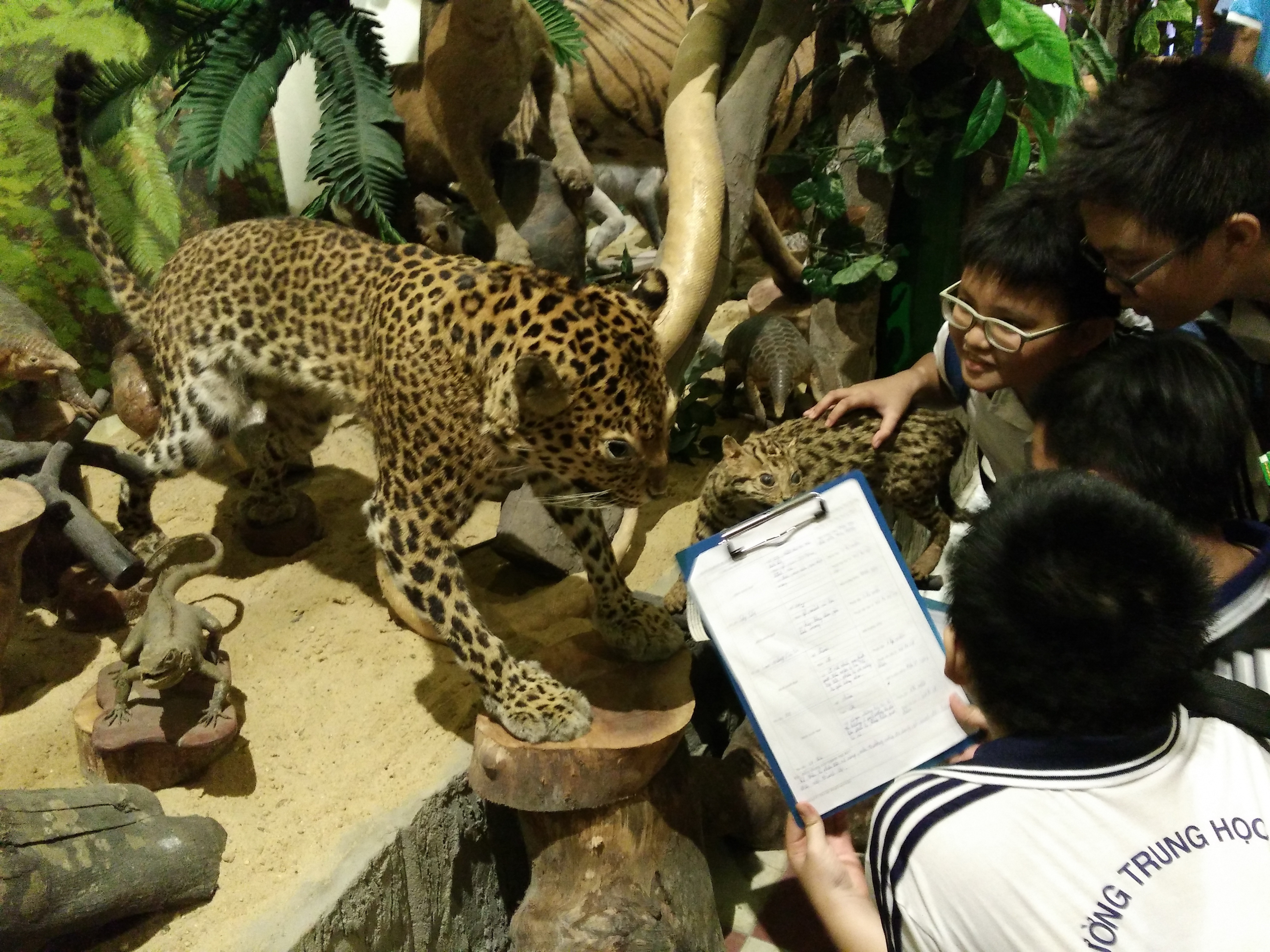 Nhiều em học sinh đến bảo tàng động - thực vậthọc tập và nghiên cứu