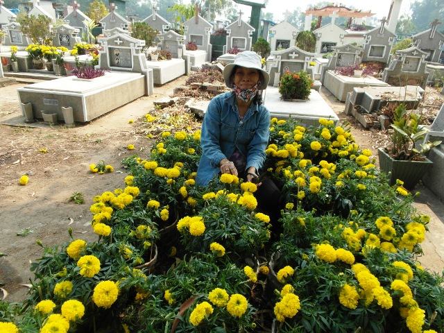 Bà Cúc với mấy trăm chậu hoa để bán cho thân nhân của các mộ phần đến viếng dịp tết.